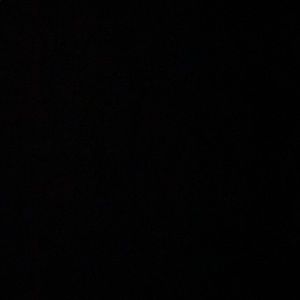 Meet your Posher, Will